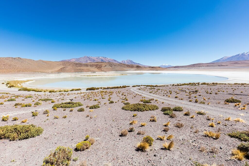 Exploring Bolivia