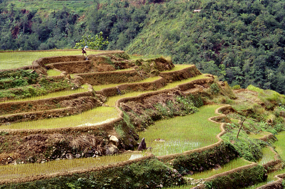 Exploring the Philippines