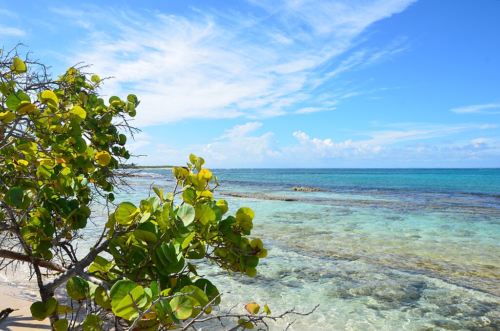 Petite Terre Islands in Guadeloupe, France